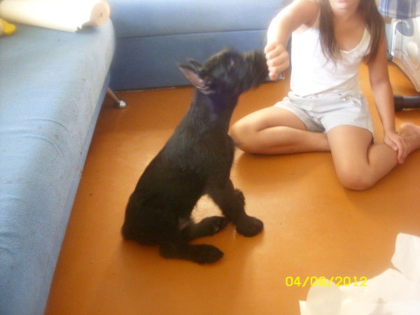 Тимур Каримов