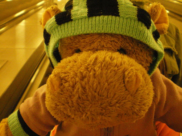 Олеся Струкова