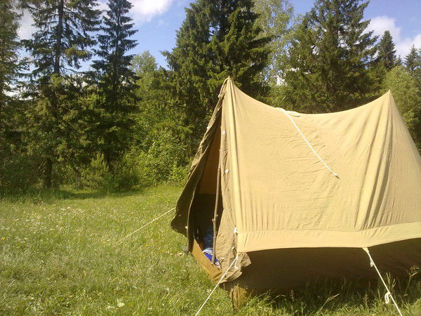 Никола Пермь