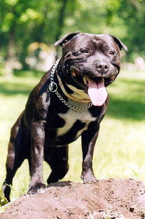 Алексей Семериков