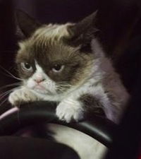 Евгений Ермаков