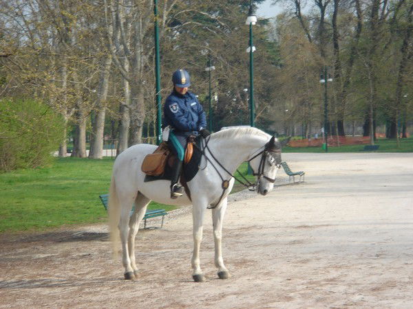 Андрей Бауер