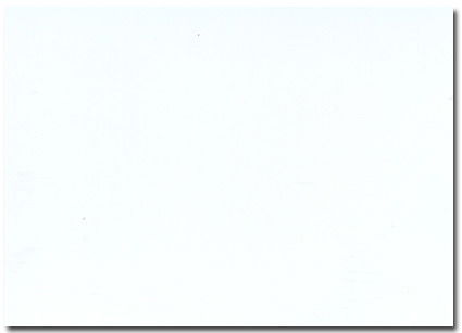 Алена Николкина