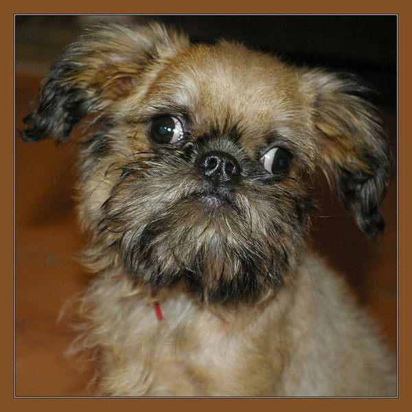 Елена Игнатьева