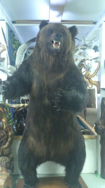 Игорь Александров