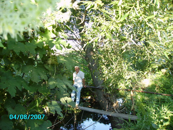 Алексей Гречаниченко