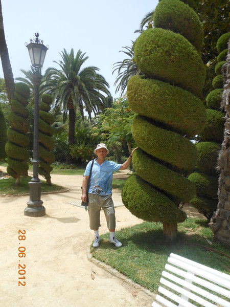 Владимир Скрипка