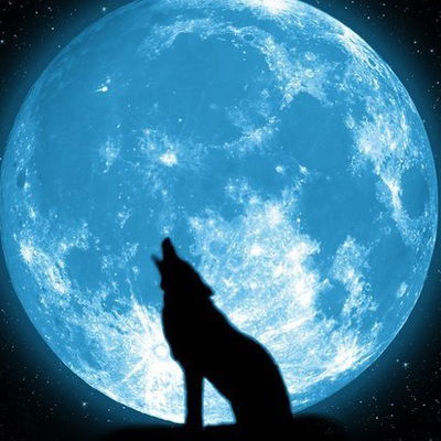 Николай Медведев