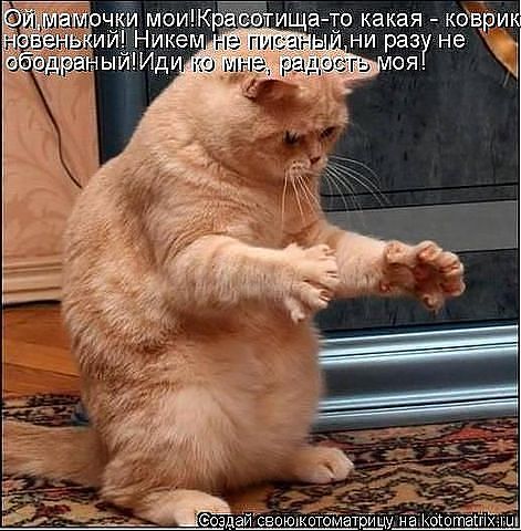 Толян Клочков