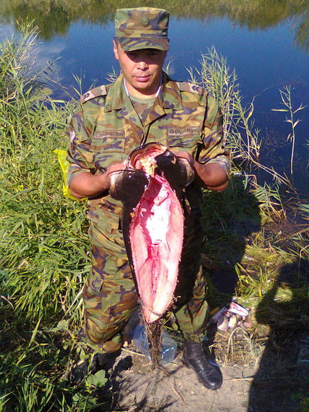 Тауир Абдырахман Улы