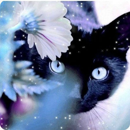 Ирина Киреева