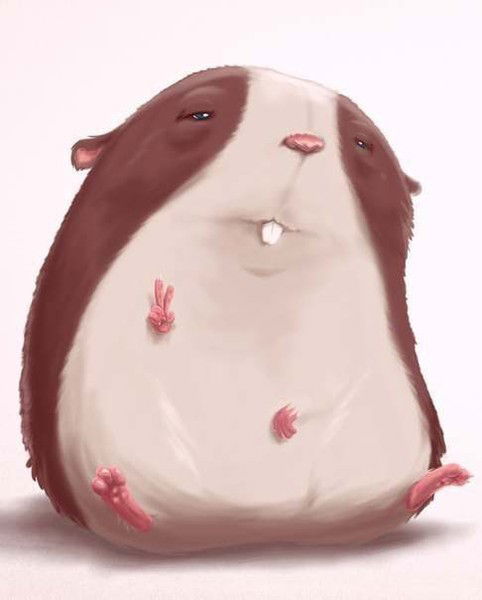 Алишер Машанло