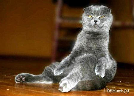 Грудина Оксана