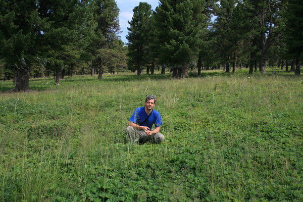 Илья Лебедев