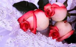 Гулрух Альметова