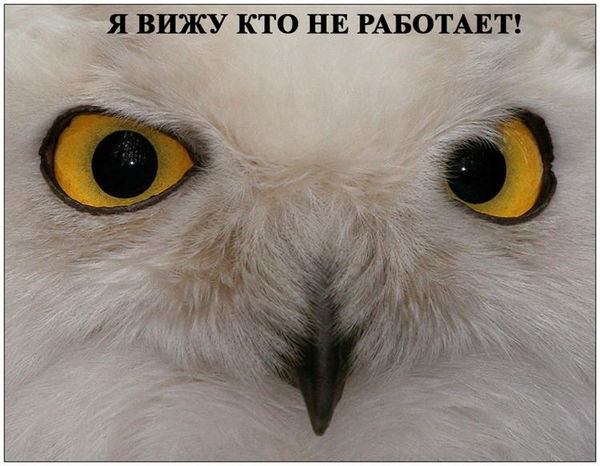 Александр Кузнецов