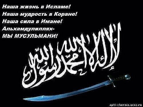 Наркозу Кадыров