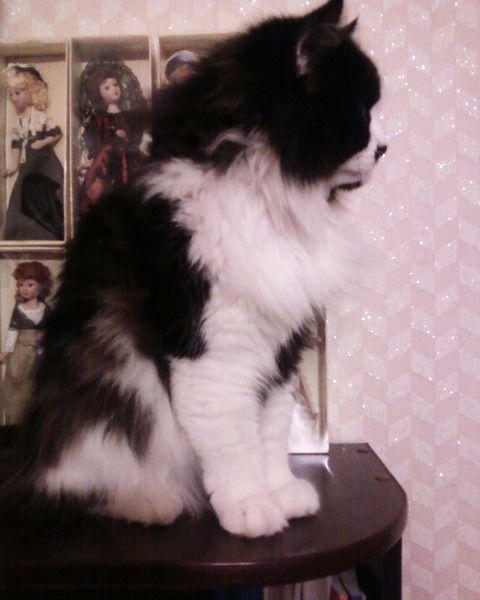 Оксана Игнатова