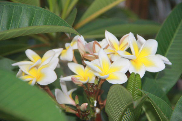 Марина Архипенко