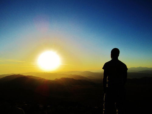 Вячеслав Палкин