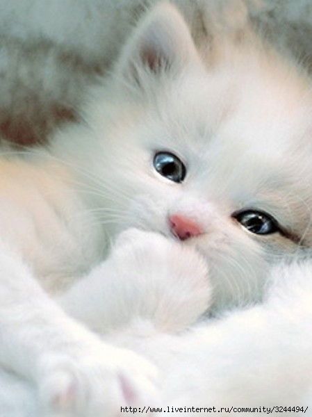 Ирина Хорова