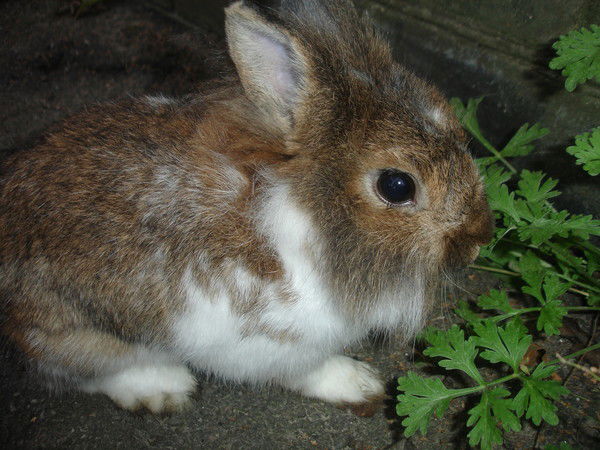 Дина Тормышева