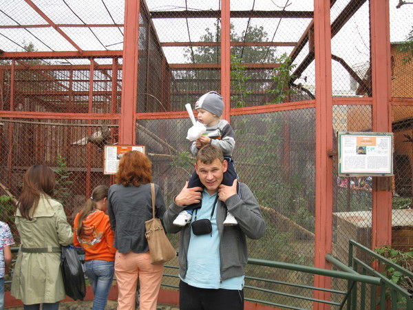 Виктор Книтель