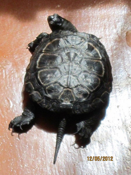 Сергей Зализенко