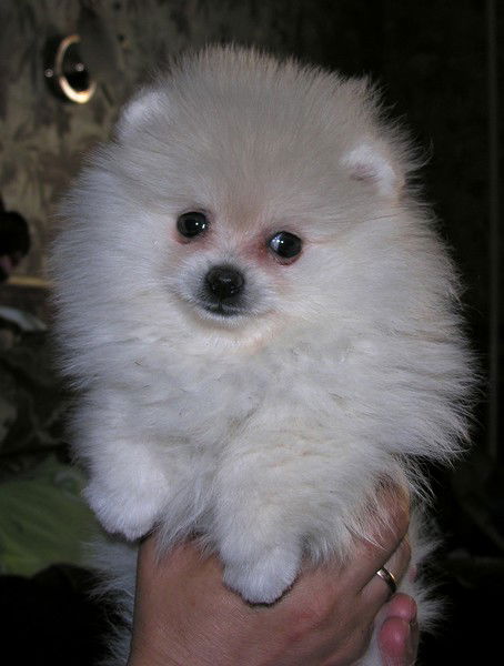 Гена Лобачёв