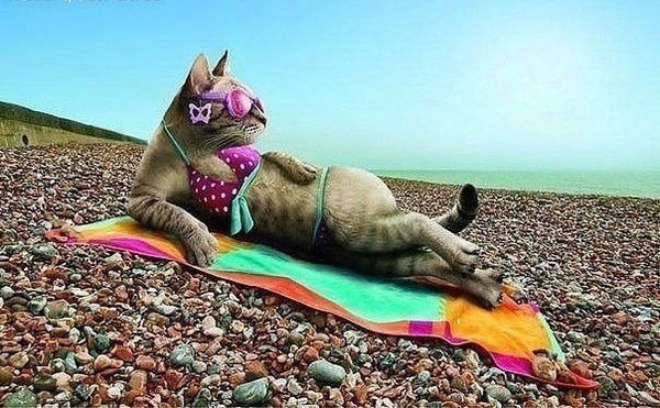 Аймангалиева Валентина