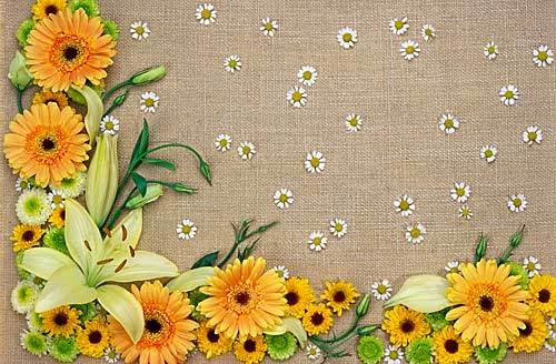 Марина Миткалева