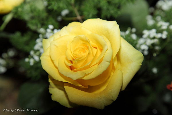 Бакытгуль Баймухамбетова