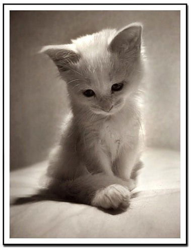 Анна Хрулькова