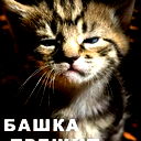 Альберт Галеев