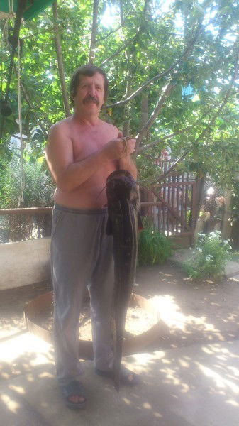 Николай Галкин