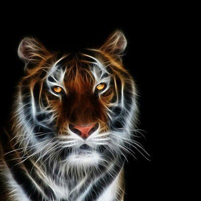 Вика Тарабанько