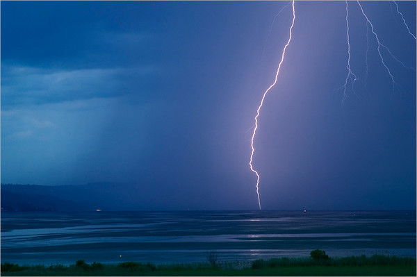 Максим Расторгуев