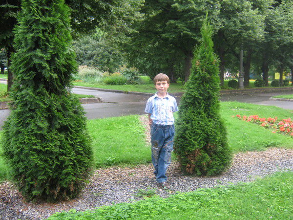 Артем Надежкин