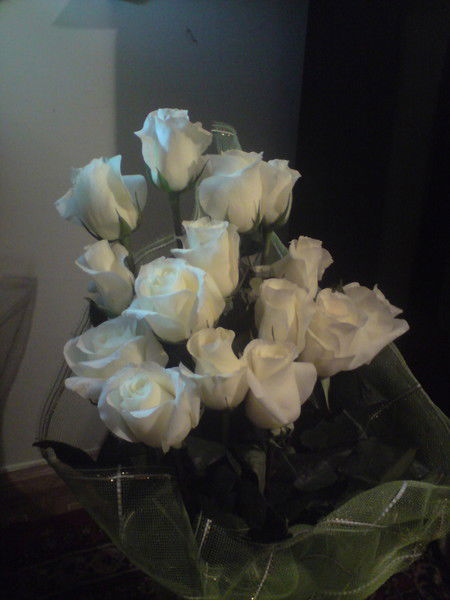 Амина Салыкова