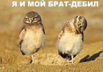 Денис Лавров