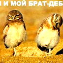 Денис Лавров