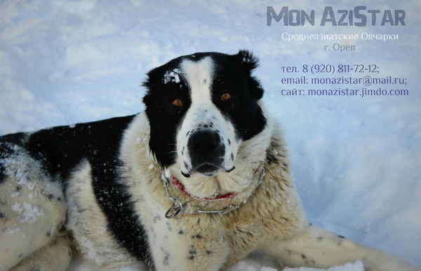 Наталья Белоглазова