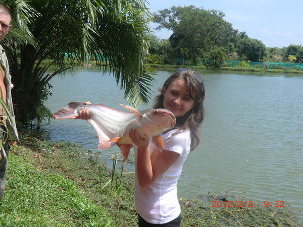 Диана Тисеева