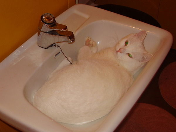 Таничка .....