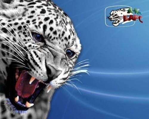 Марат Газизов