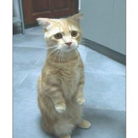 Наталья Глухова