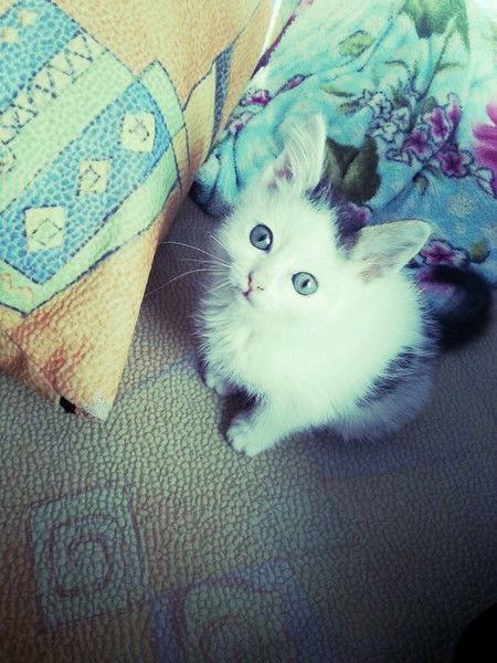 Лана Махметова