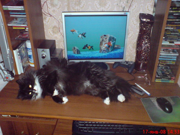 Валера Сокольников