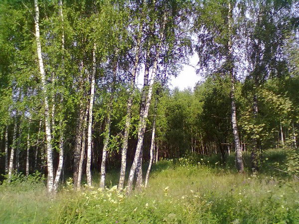 Андрей *******