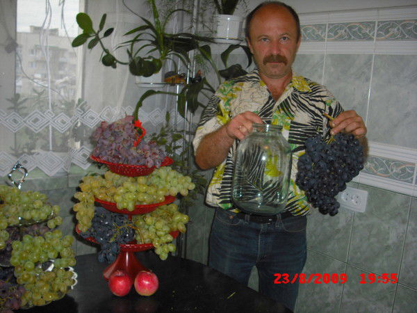 Сергей Кириченко